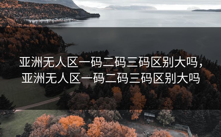 亚洲无人区一码二码三码区别大吗,亚洲无人区一码二码三码区别大吗
