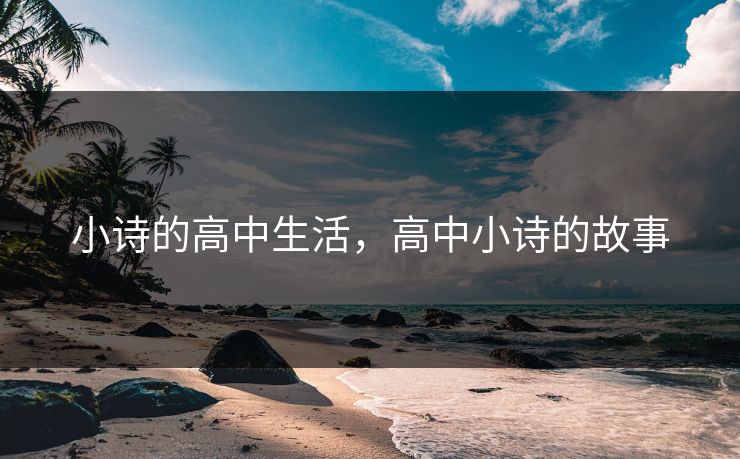 小诗的高中生活,高中小诗的故事