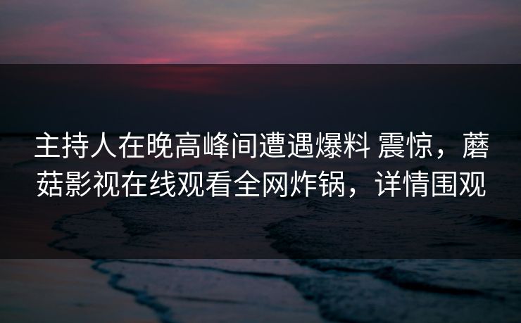 主持人在晚高峰间遭遇爆料 震惊，蘑菇影视在线观看全网炸锅，详情围观  第1张
