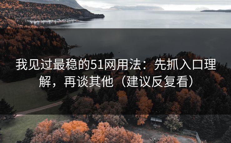 我见过最稳的51网用法：先抓入口理解，再谈其他（建议反复看）