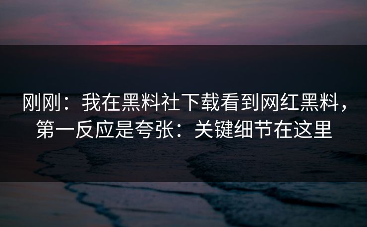 刚刚：我在黑料社下载看到网红黑料，第一反应是夸张：关键细节在这里